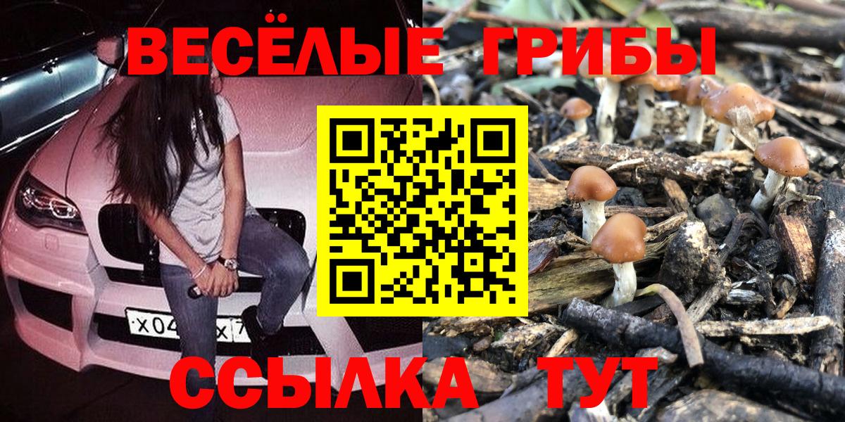 Галлюциногенные грибы мухоморы Саранск